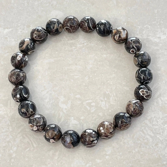 Turritella Agate Bracelet - Uplift Beads